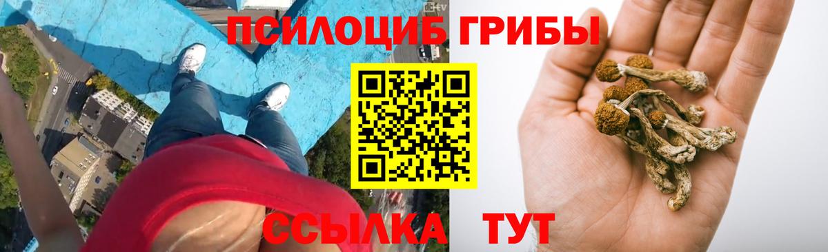 Псилоцибиновые грибы ЛСД Туапсе
